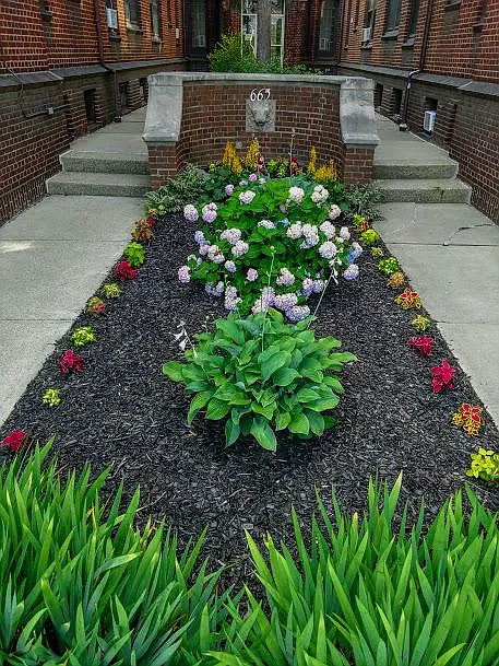 Garden Walkway