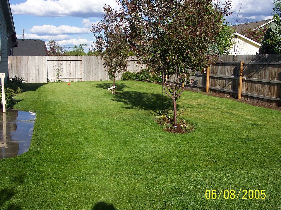 Backyard 2005