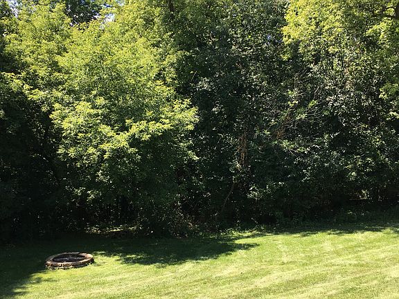 Backyard and fire pit