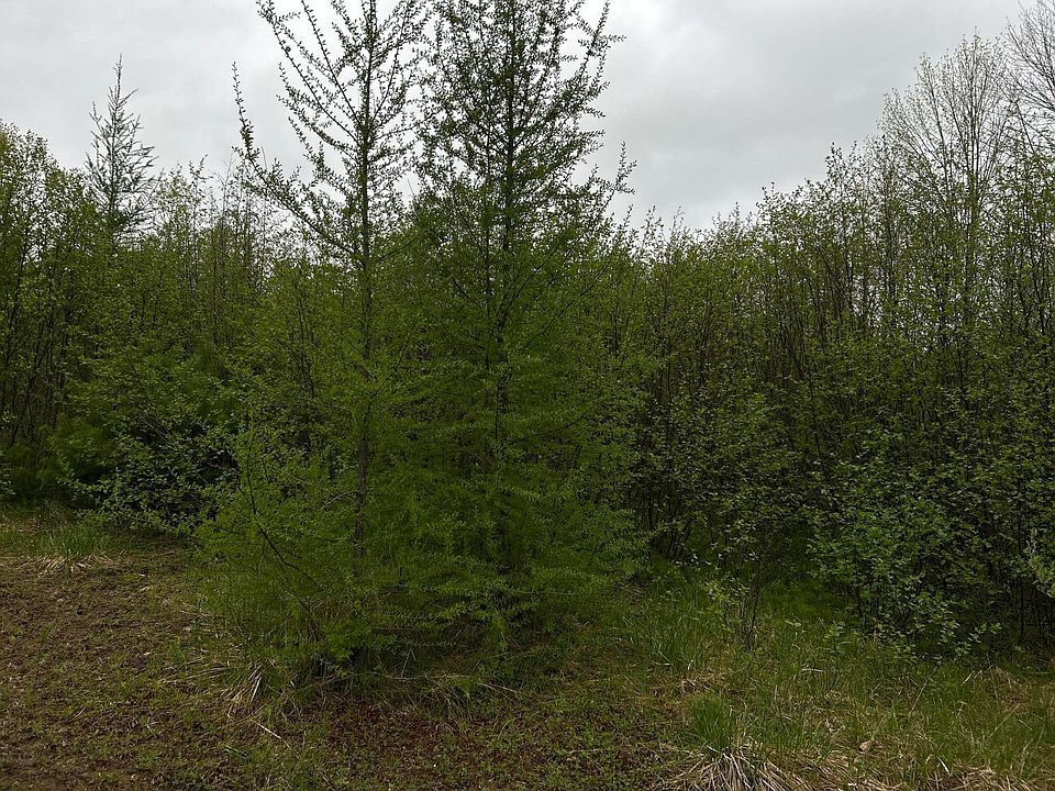 1st image of 696 Lebanon Road