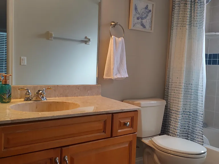 1643 Areca Palm Dr — Photo 10