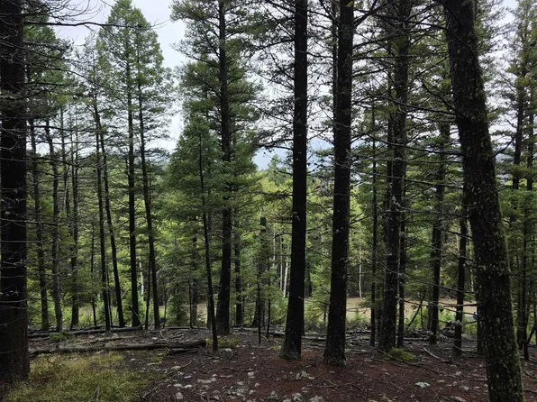 lot 147 chalets back basin rd, Angel Fire, NM 87710