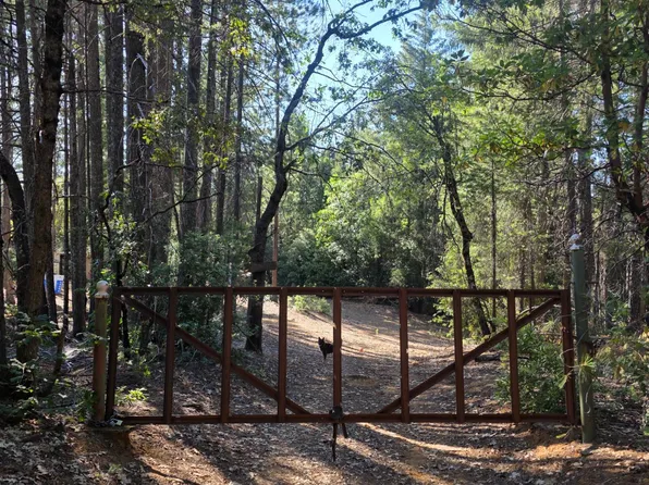 3030 Springwood Ln, Georgetown, CA 95634