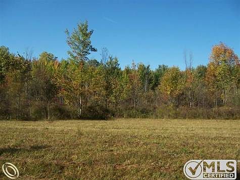 3890 County Line (9).JPG