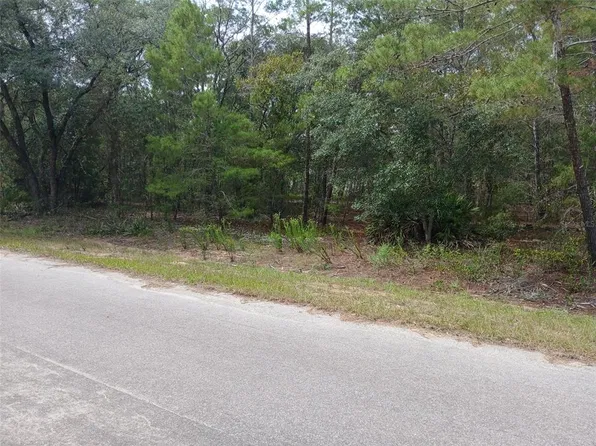SE FISHER COURSE LOT 10, OCKLAWAHA, FL 32179