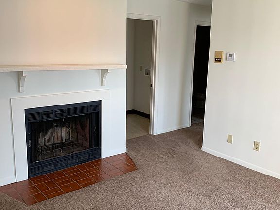Wood burning fireplace- door to right of fireplace is the laundry or storage area- will fit a full size washer/dryer