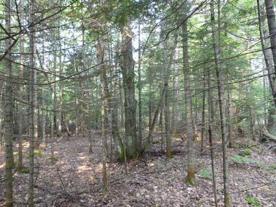 0 E Cemetery Rd, Grand Marais, MI, 49839