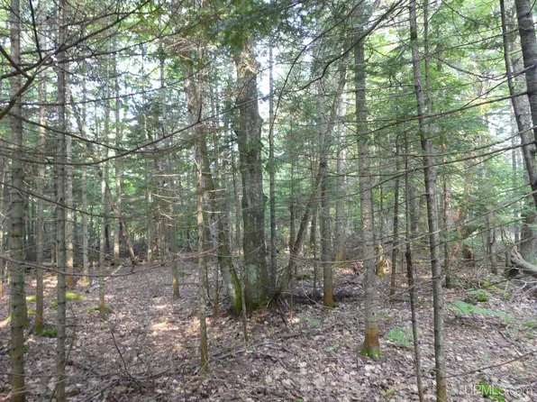 0 E Cemetery Rd, Grand Marais, MI 49839