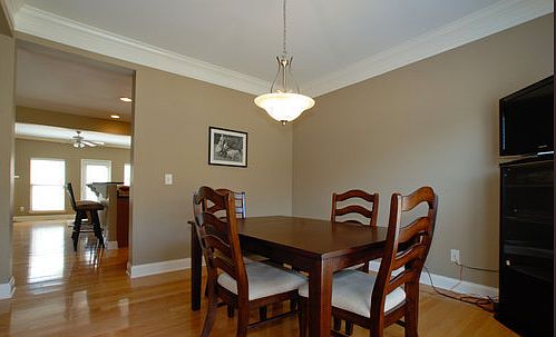 4th image of 1021 Woodbury Falls Dr
