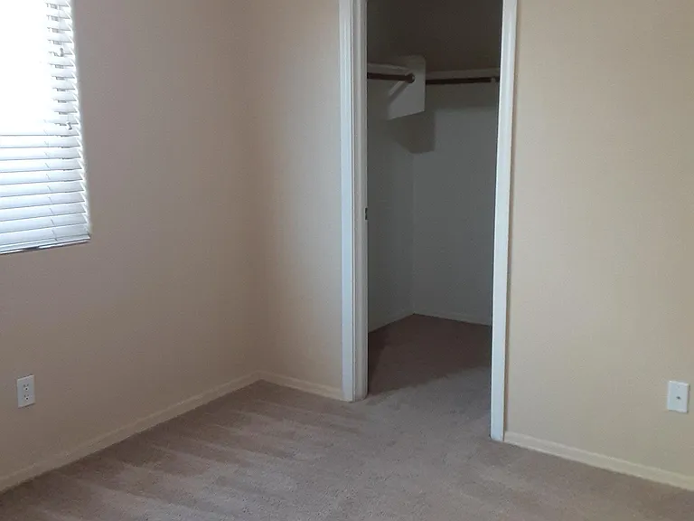 walk in closets in the bedrooms