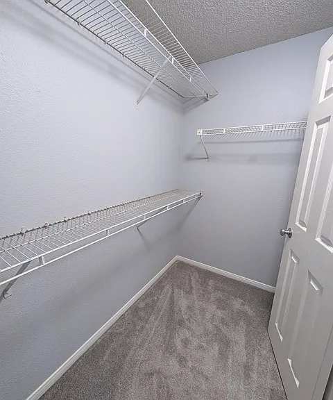 7445 Charmant Dr #1708 — Photo 15