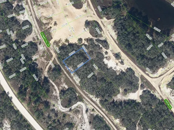 317 Summer Hill Dr, Lake Placid, FL 33852