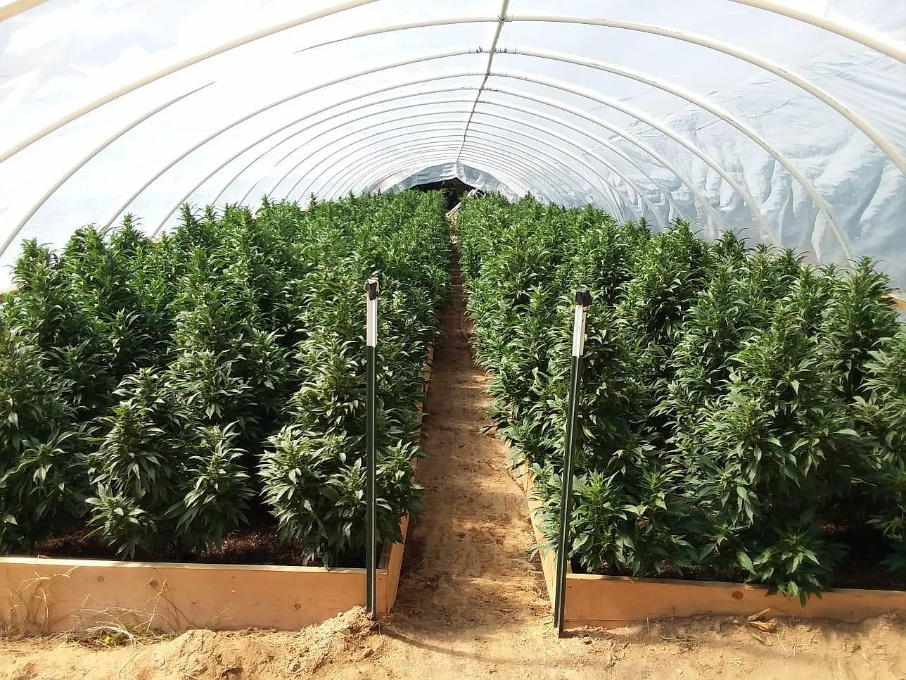 17311 Alderpoint Rd, Alderpoint, CA 95511 Zillow