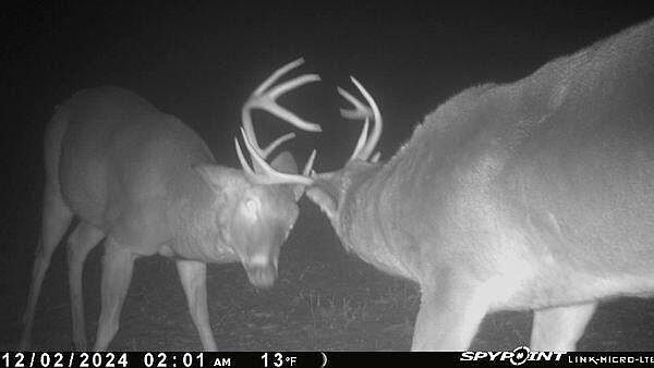 2nd image of 0 Indian Lake Rd
