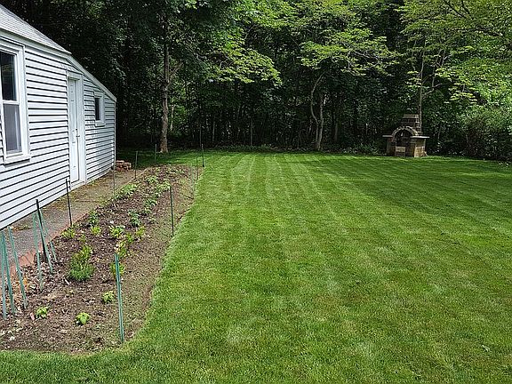 Level Backyard with trees!
