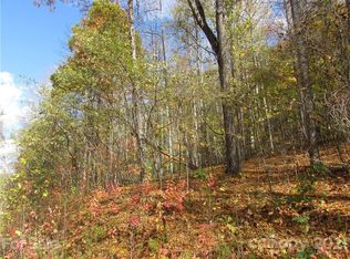 E Thirteen Red Wolf Run None, Mars Hill, NC 28754