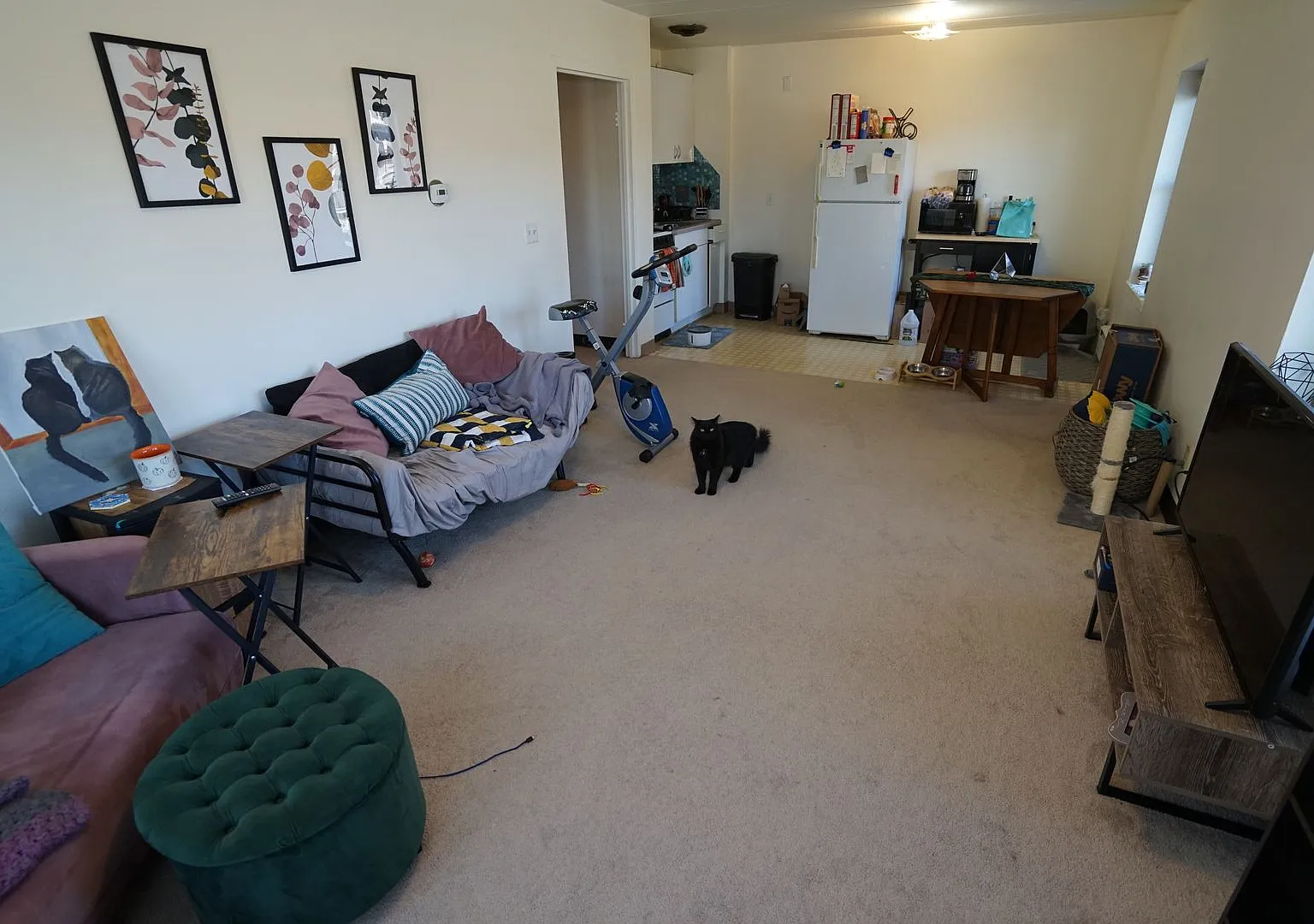 425 — Photo 3