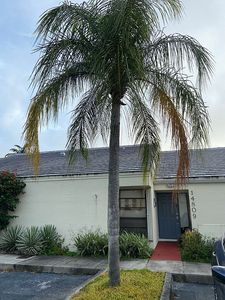 14809 SW 124th Pl, Miami, FL, 33186