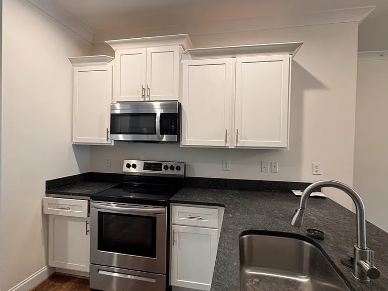 311 Clarus Creek Way — Photo 3