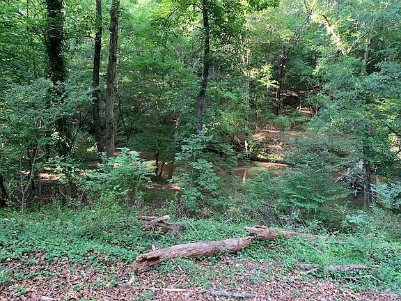 Back Yard Creek