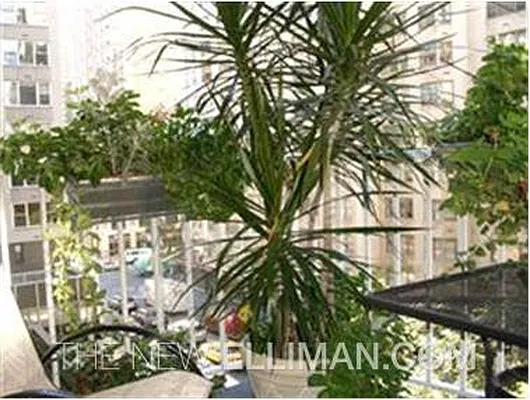 Rented by Douglas Elliman | media 4