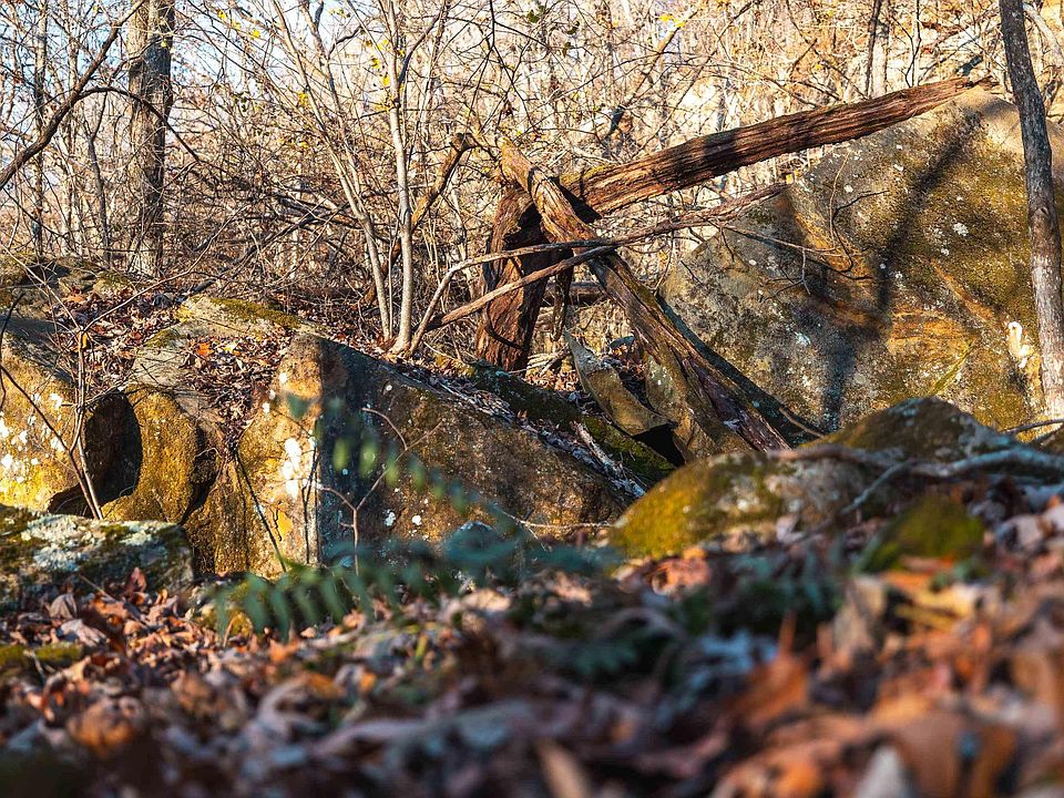 49th image of this home