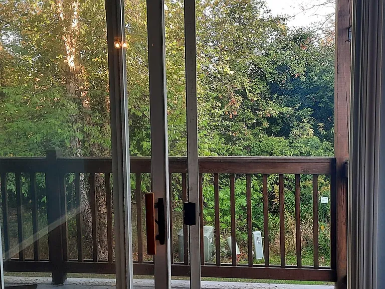 Deck, backs to Lake / Greenery