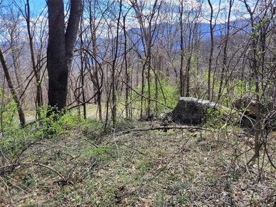 0 Purple Martin Ln #22, Waynesville, NC, 28785