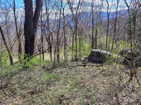 0 Purple Martin Ln #22, Waynesville, NC 28785