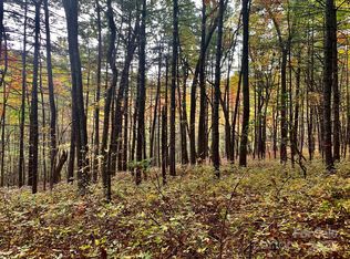 888 Cardinal Rd, Brevard, NC 28712