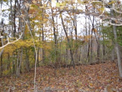 0 Red Oak Ridge Rd, Celina, TN, 38551