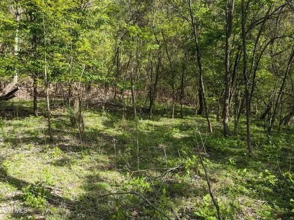 514 E Aesque St, Kingsport, TN 37665