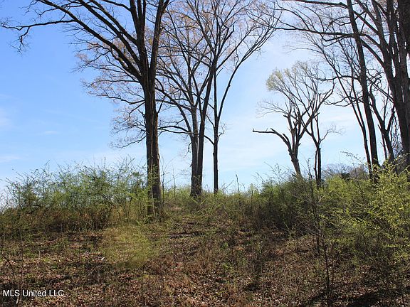 5th image of 10 Barton Desoto Rd