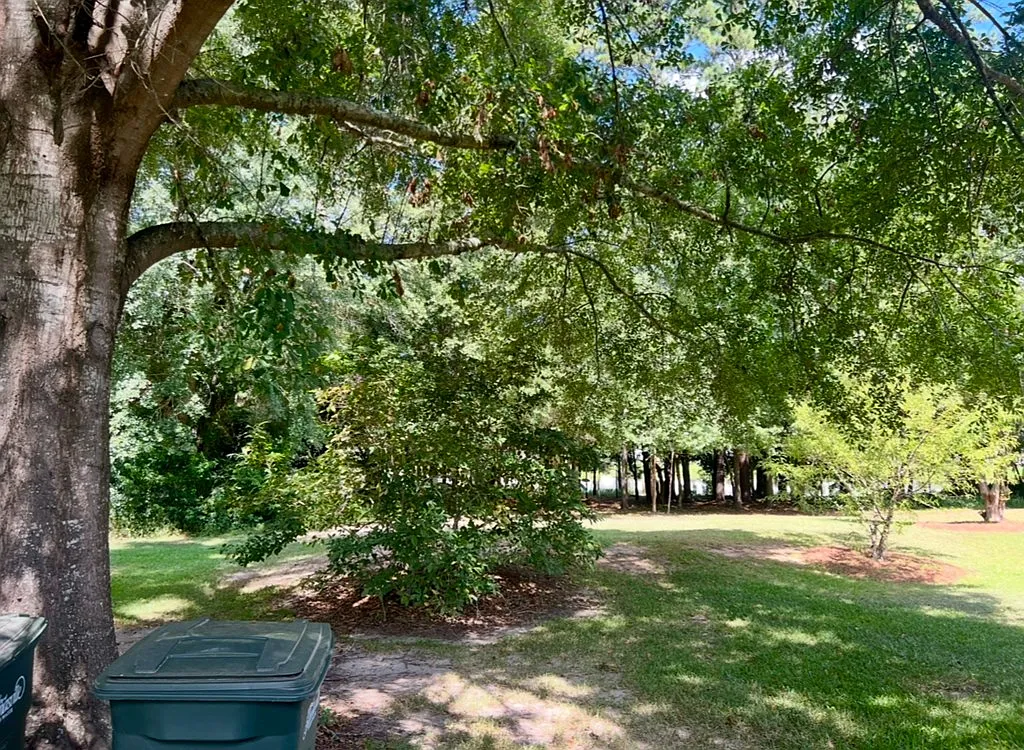 3 bed, 1237 sqft, $1,750 — Photo 2