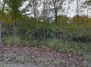 0 Buddle Rd Lot 19, Richfield Springs, NY 13439