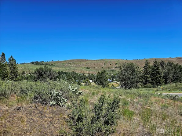 0 Horizon Flats Road, Winthrop, WA 98862