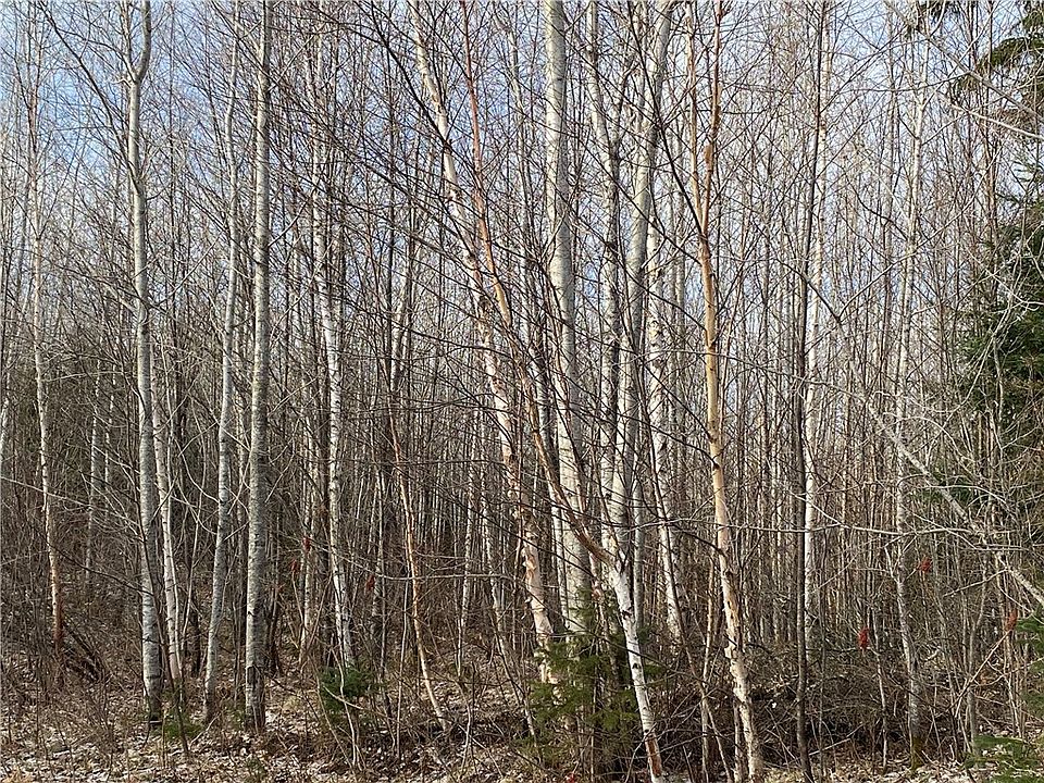 1st image of ON Bear Lake Road