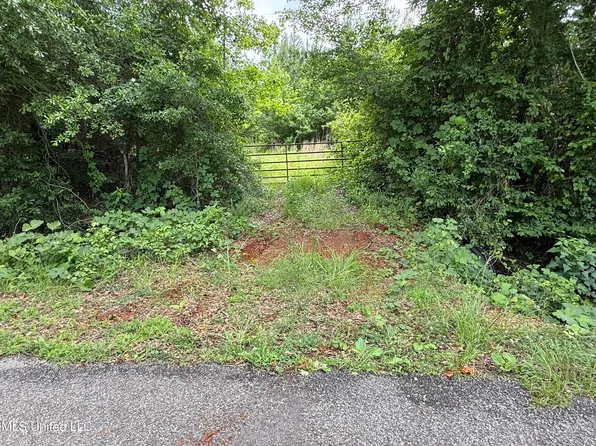 McNeil Rd, Little Rock, MS 39337