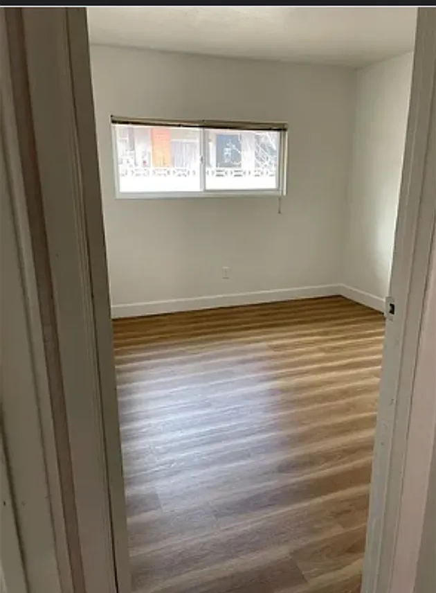 1 bed, $850 — Photo 2