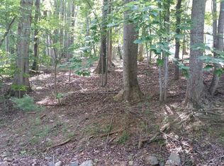 13 Waterside Cir, Moneta, VA 24121