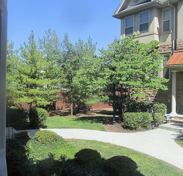 770 Green Ln #770 — Photo 2