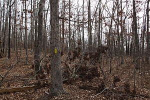 2nd image of 9 County Road Boxley