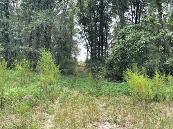 Vac Nw South Dr #E, Mayo, FL 32066