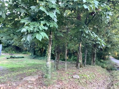 148 Wolf Hollow Rd, Bald Knob, AR, 72010