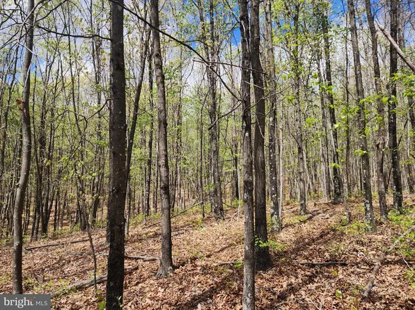 E Tillie Dr, Delray, WV 26714