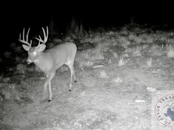 2860 Fm 990, De Kalb, TX 75559