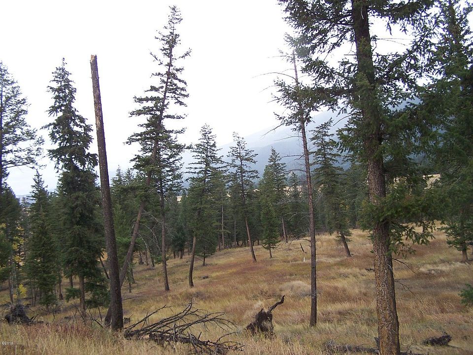 2nd image of Nhn Wild West Dr