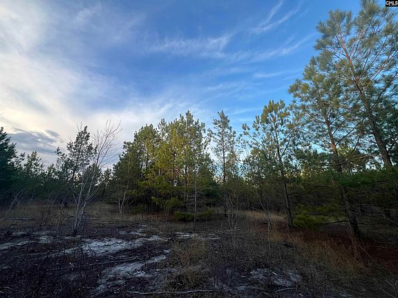 5th image of Kelly Day Rd #3