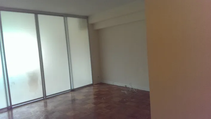 Rented by Manhattan Apartment Organization | media 53