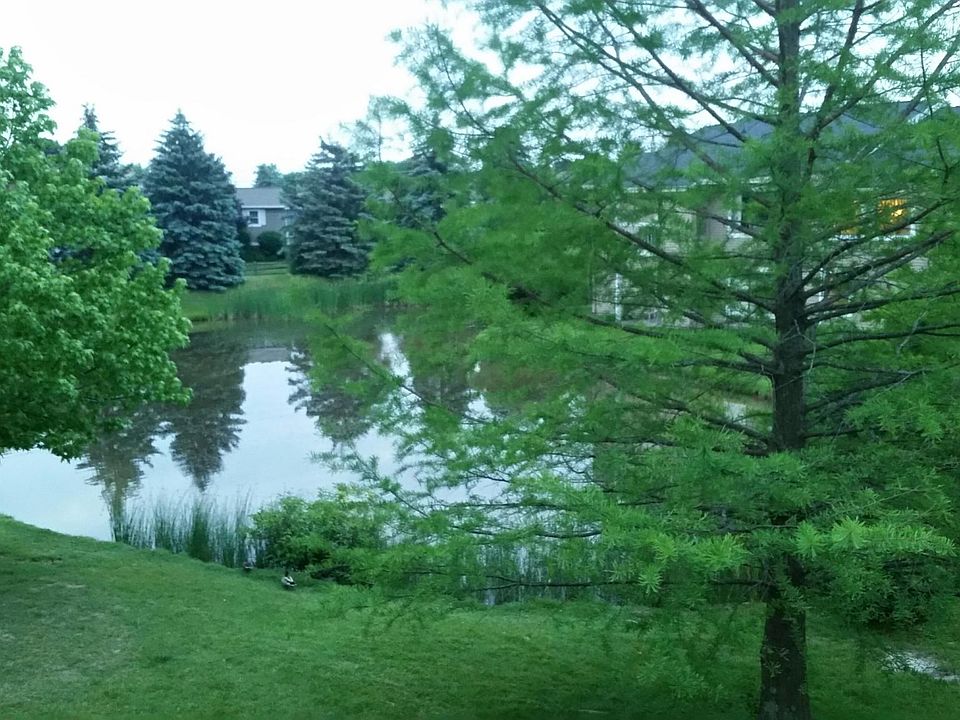 View from Balcony